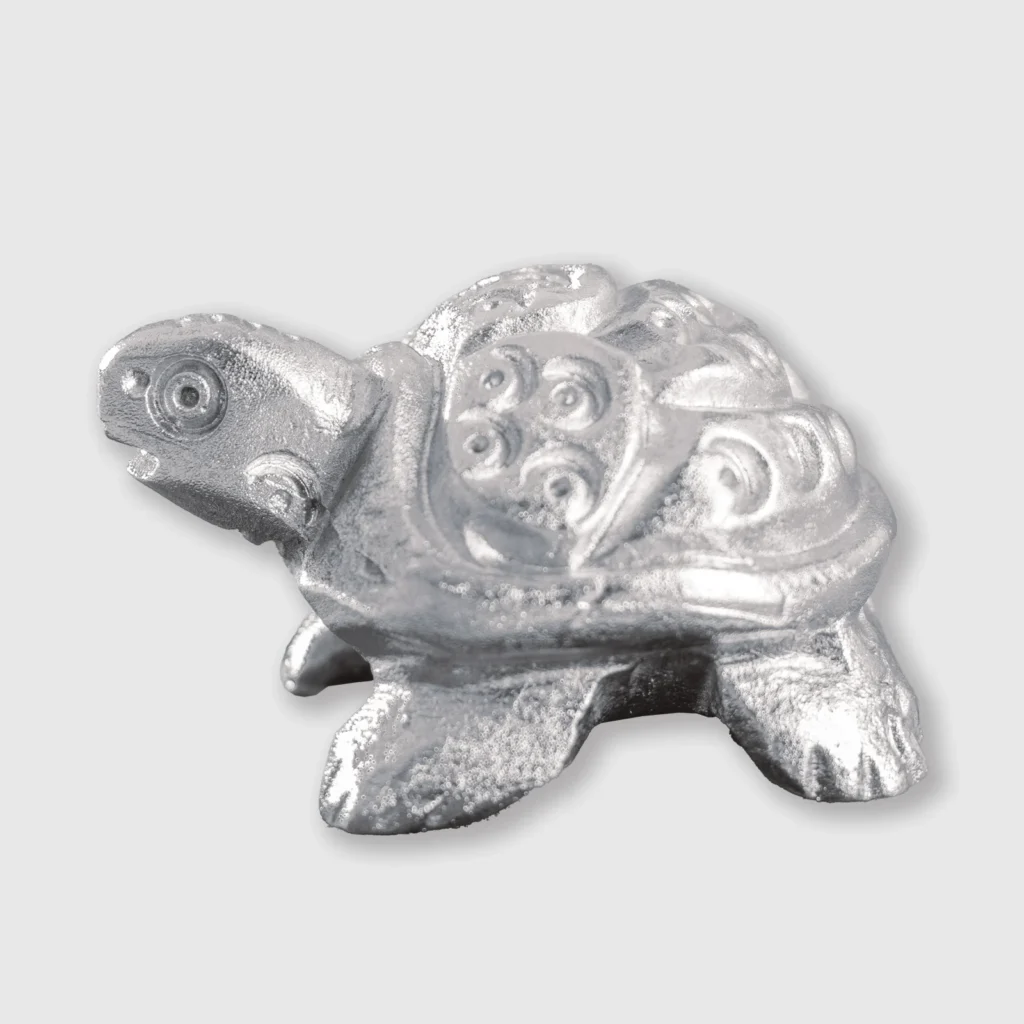 Mercury Tortoise (72 gm)