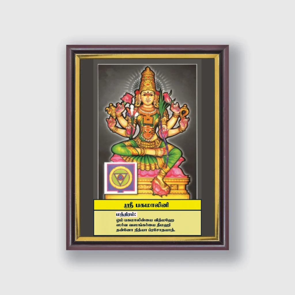Sri Bhagamalini | Thithi Devathai | Energized Powerful Photo Frame | 6x8 inch